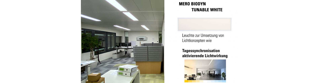 LED Panelleuchte Mero Bio Tunable White Lichtfarbe steuerbar